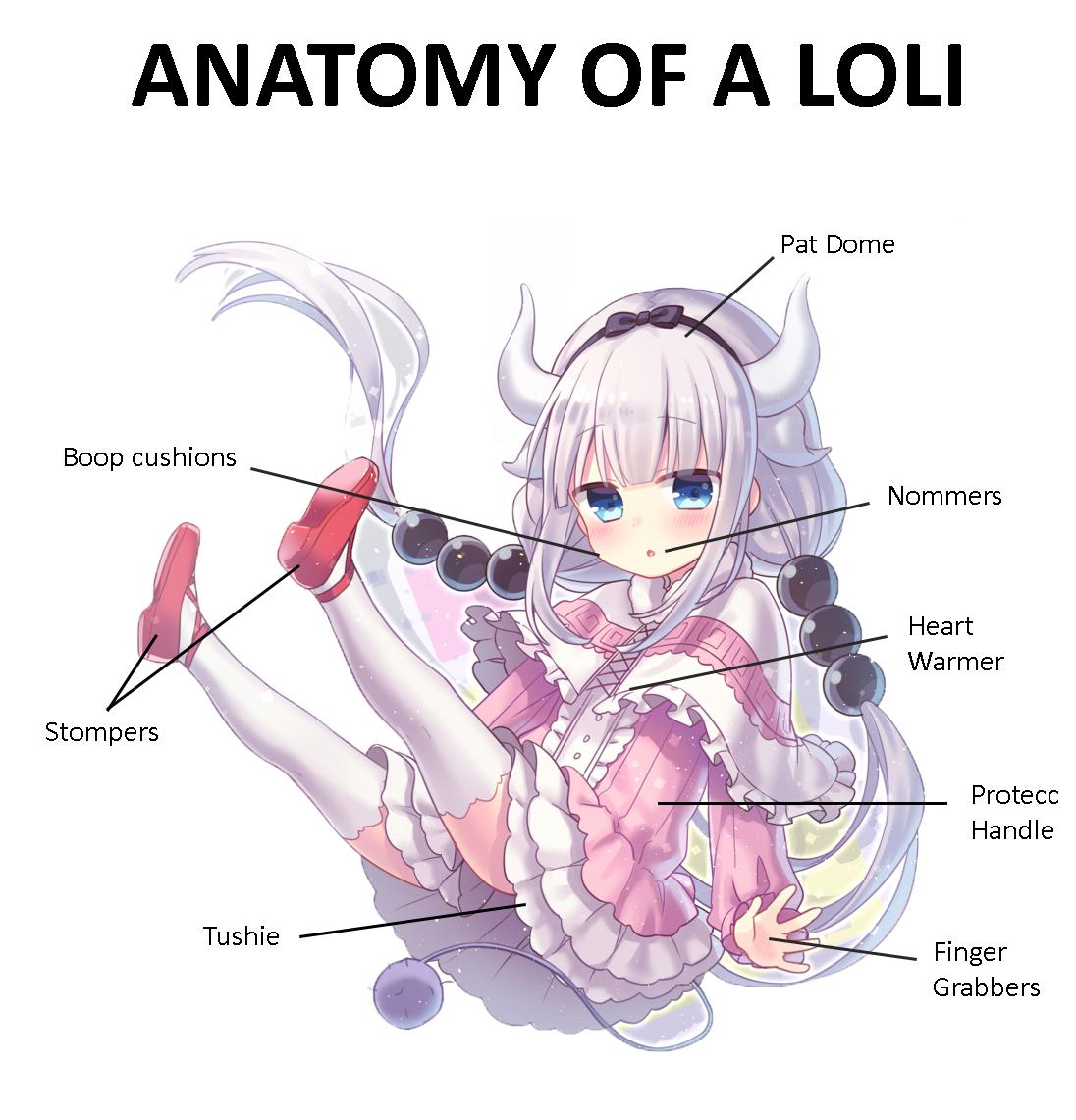 anatomy 3d hentai