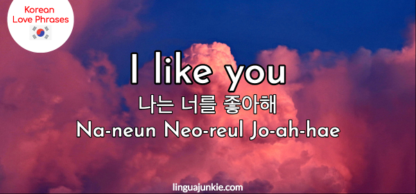 In korean i love you