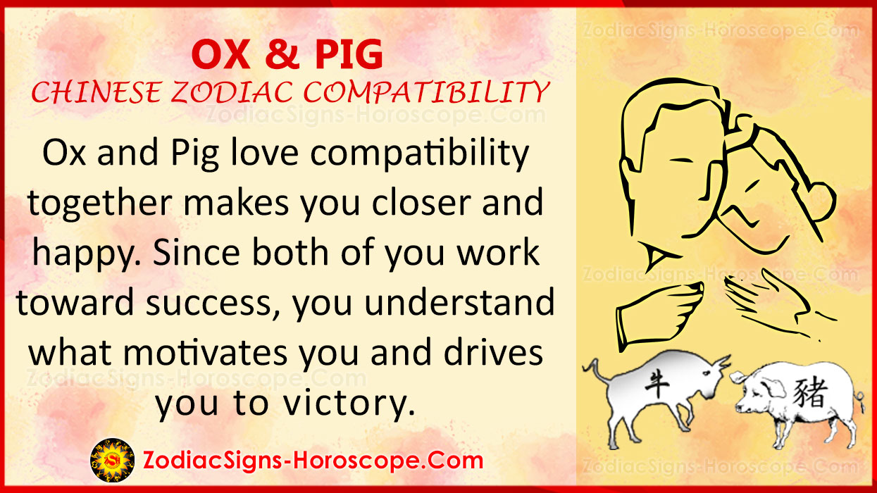 horoscope Lesbian compatibility chinese