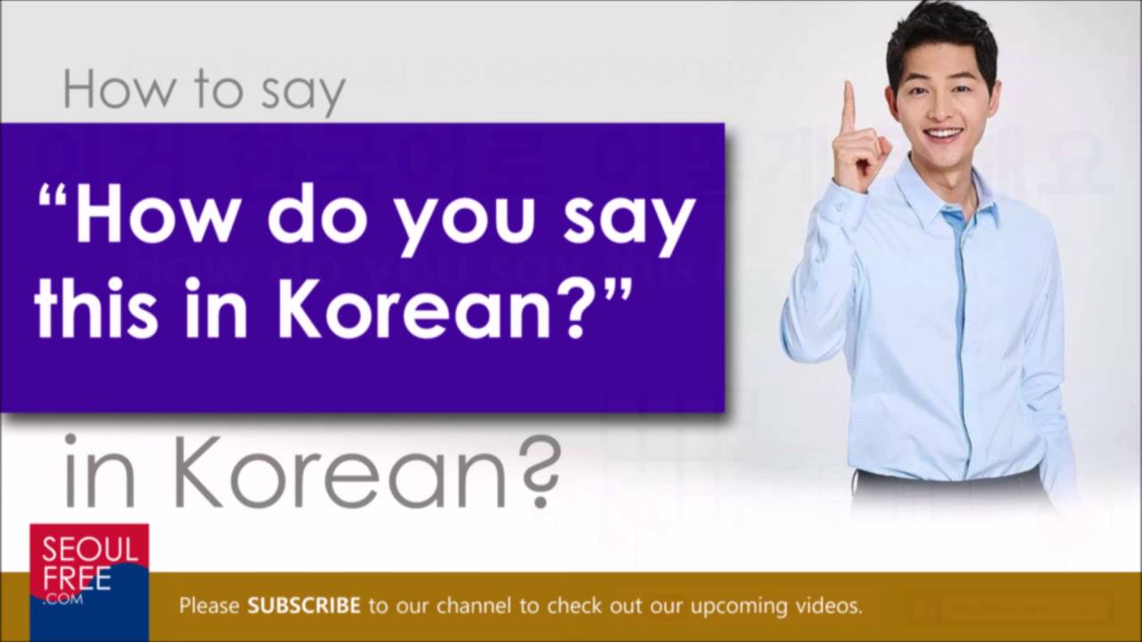 do language do korean i in What
