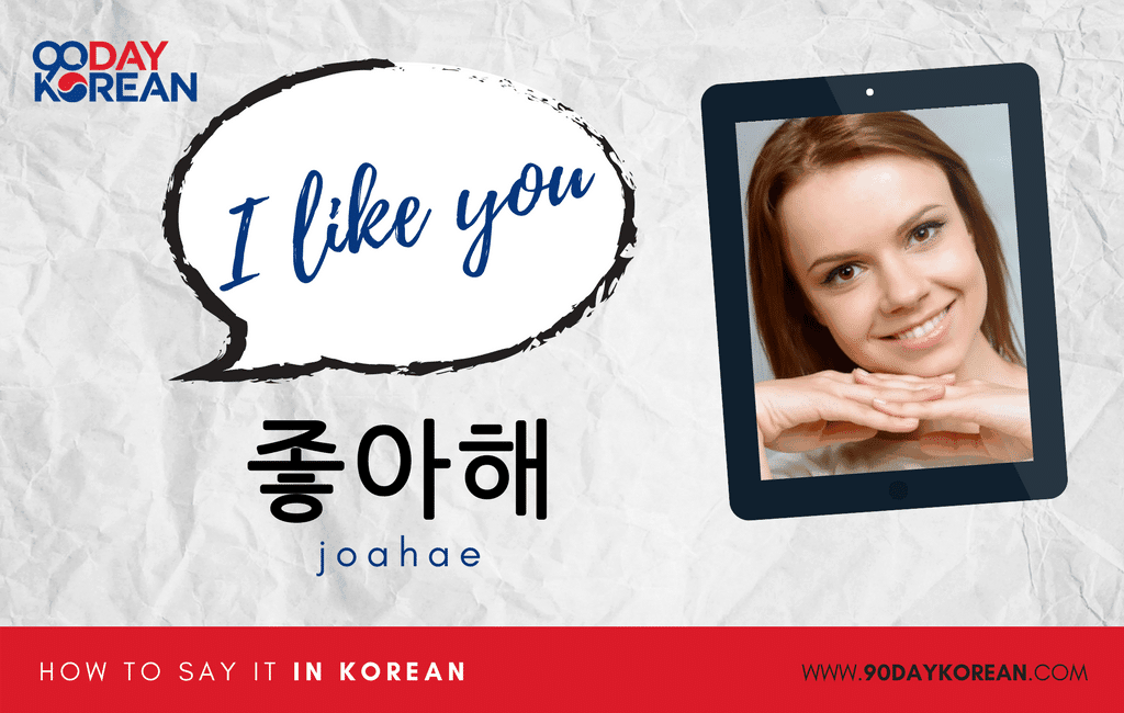 like you korean I
