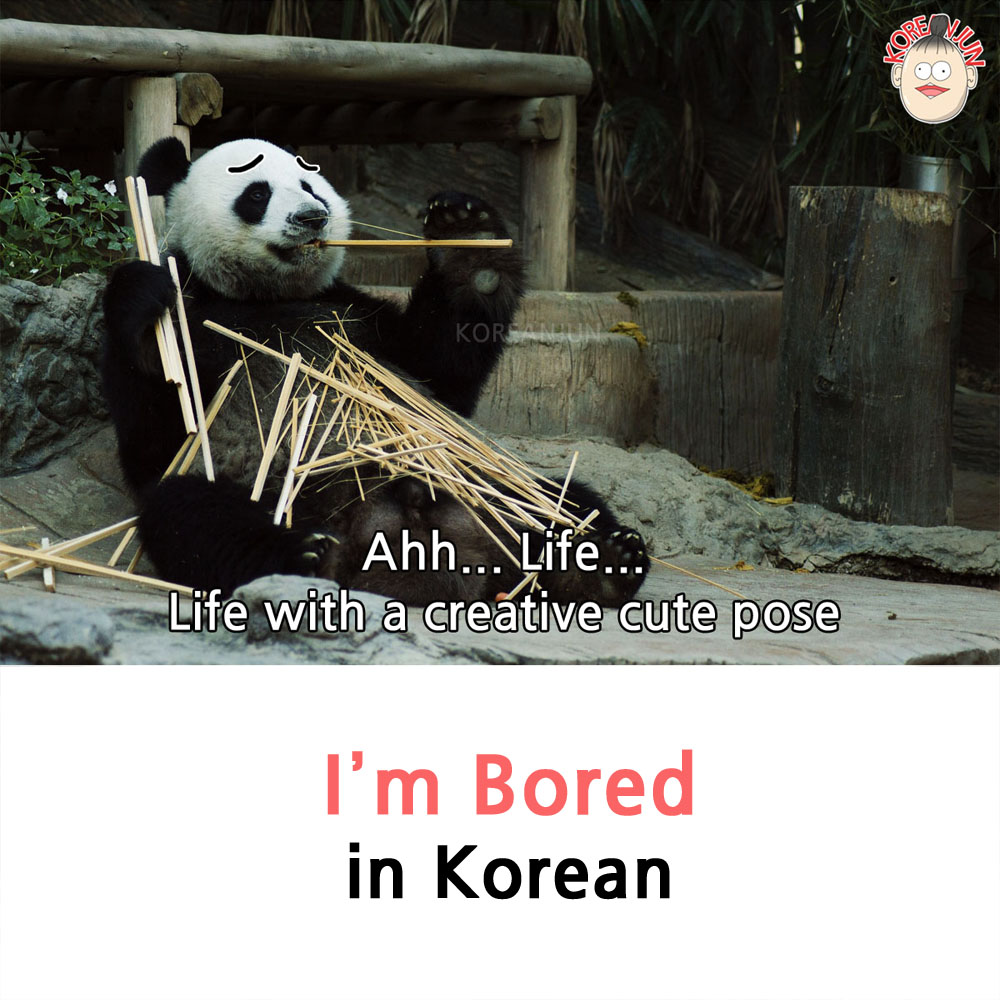 korean in I bored m