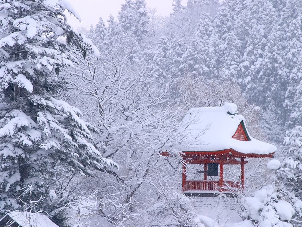 What are the languages in japan