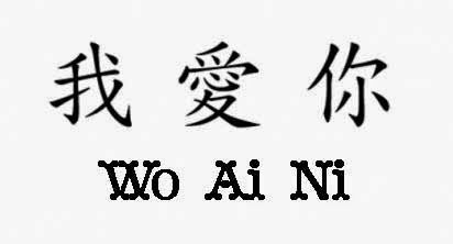 y You in chinese are