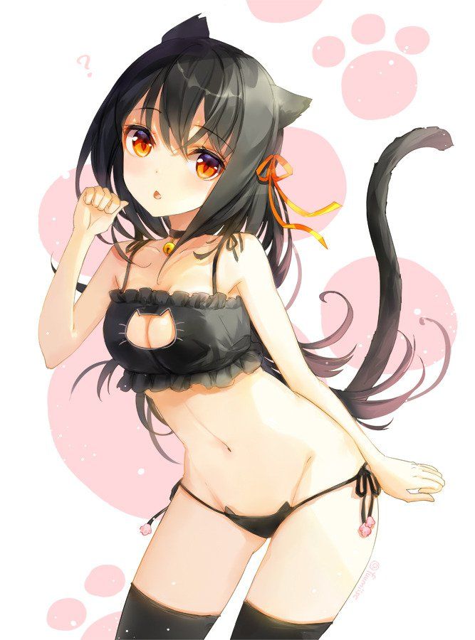 sexy Anime neko