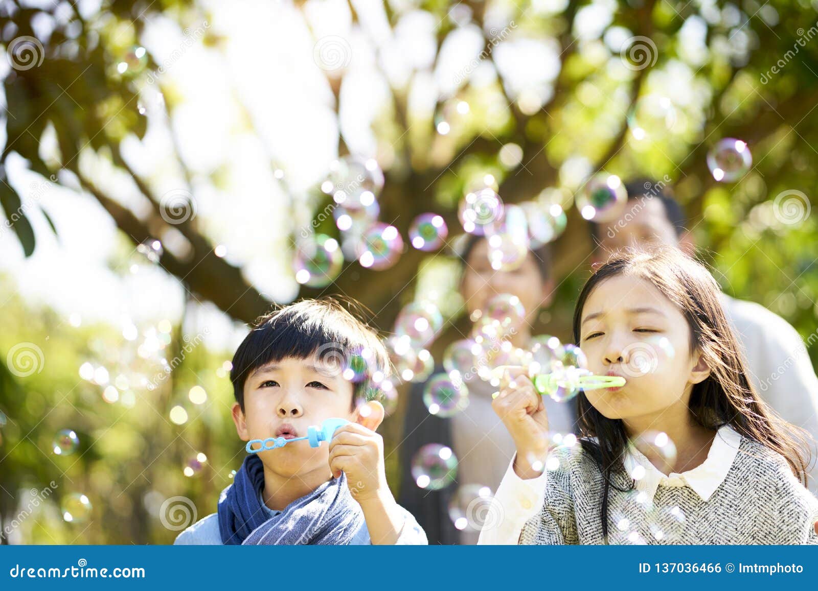 asian watching Bubble outdoor