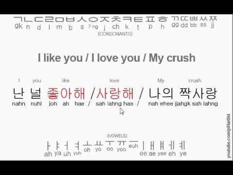 like you korean I