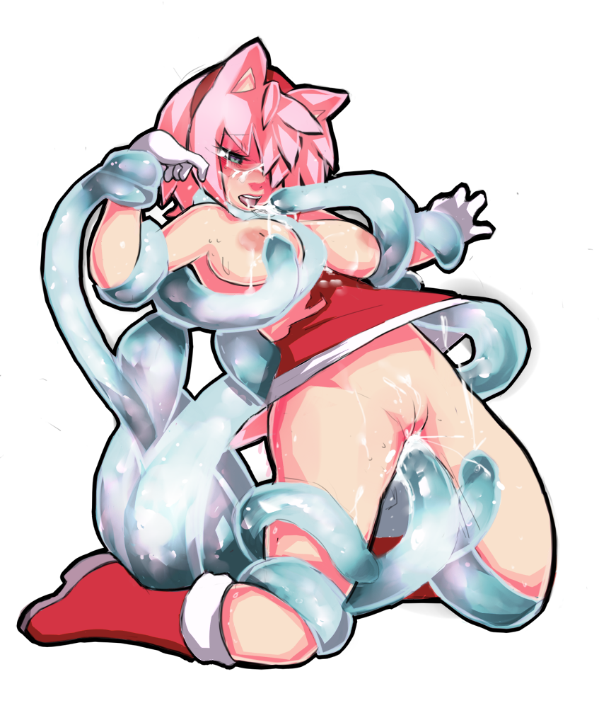 hentai porn Sonic amy