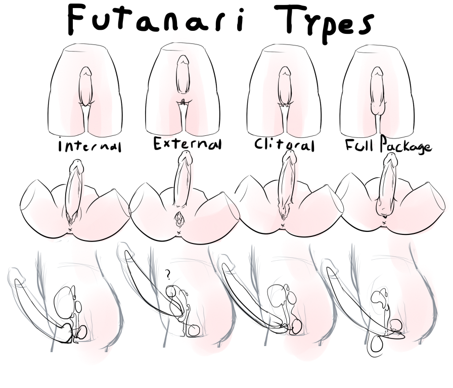 porn Types of anime