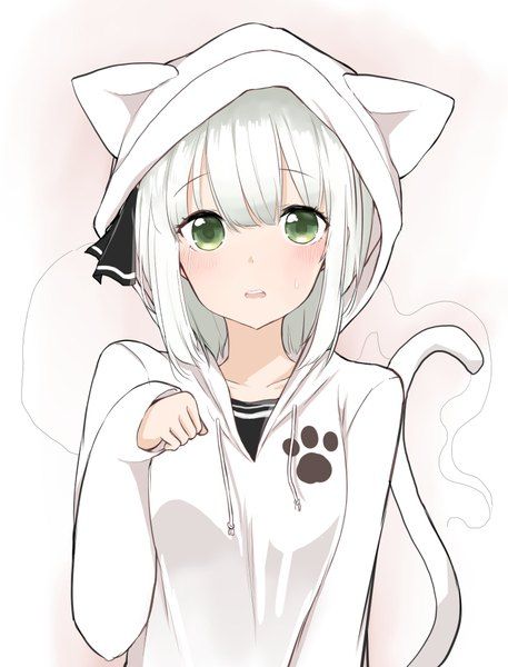 haired anime girl White cat